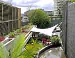 imagen 05